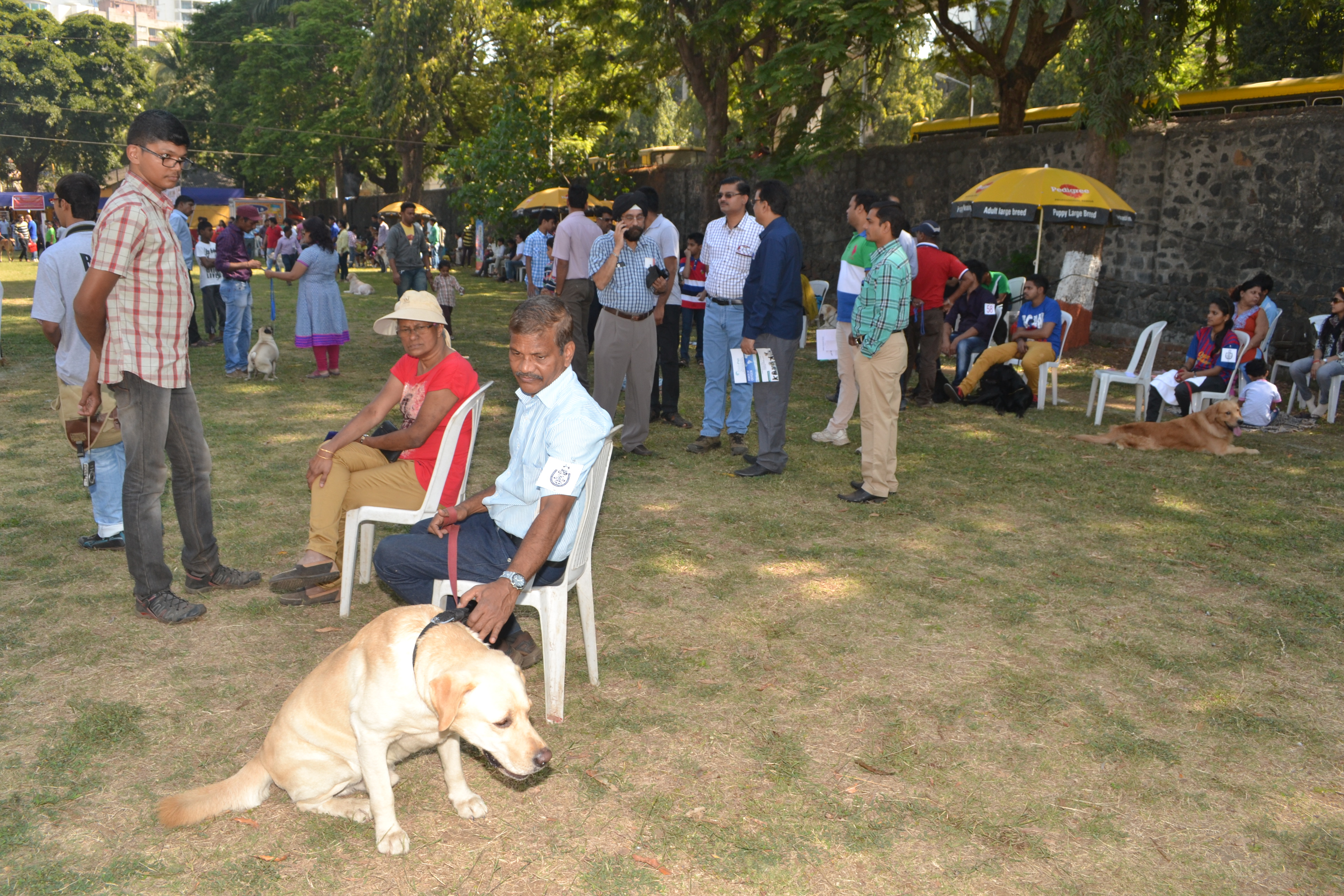 Dogs And Their Owners During Dog Show 2014